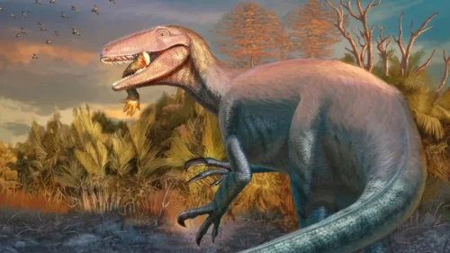 Novo dinossauro carnívoro é descoberto com presa fossilizada na boca
