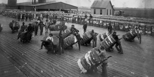 Tarifas de Trump revivem debate sobre protecionismo que marcou Era McKinley