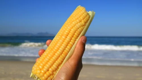 Turista argentina paga R$ 20 mil por milho em golpe com PIX em Copacabana