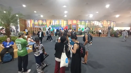 ONU cobra Brasil por falhas de segurança e estrutura na COP30 em Belém