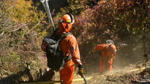 Detentos Combatem Incêndios em Los Angeles