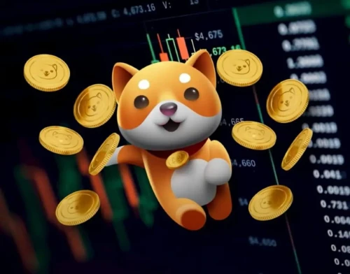Baby Doge Coin conquista brasileiros e supera Solana