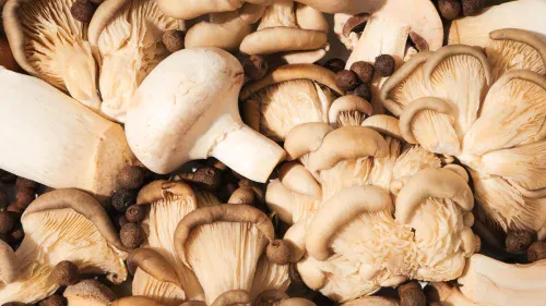 Surto de cogumelos venenosos na Califórnia deixa três mortos e 35 intoxicados