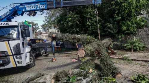 Vendaval arranca telhados e derruba árvores em 39 cidades do RS; veja o estrago
