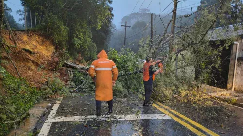 Temporal deixa mais de 130 mil casas sem energia na Grande São Paulo