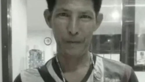 Leões matam tratador durante apresentação para turistas em zoológico