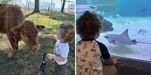 Mãe descobre truque simples que acabou com as crises dos 2 anos do filho: uma vez por semana