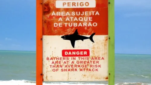 Ataque raro de tubarão mata mulher e fere homem gravemente na Austrália