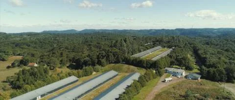 Granja Pinheiros investe R$ 30 milhões em nova unidade de recria no RS