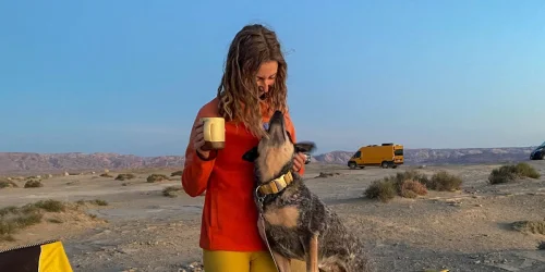 Cão vive feliz em van com donos e desafia críticas sobre espaço reduzido