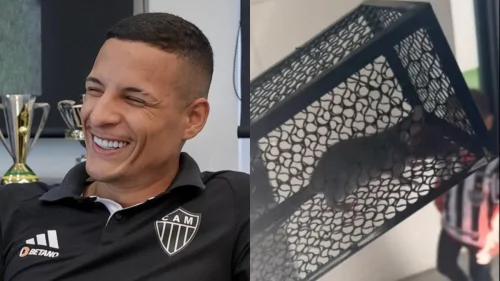 Guilherme Arana viraliza ao capturar rato em casa e compartilhar vídeo nas redes