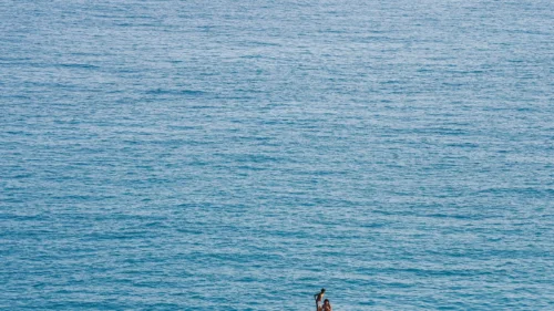 Tratado do Alto-Mar entra em vigor e cria marco legal para proteger dois terços dos oceanos