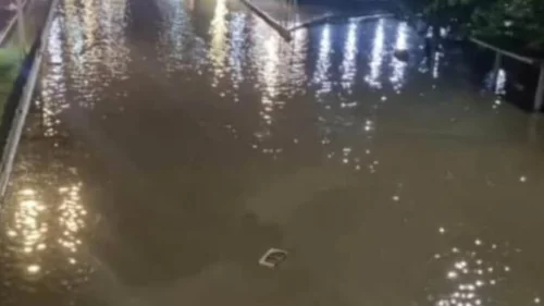 Chuvas Intensificam Alagamentos e Quedas de Árvores no Rio de Janeiro