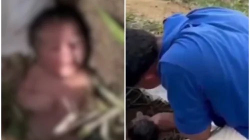 Mulher de 19 anos confessa abandono de recém-nascido em formigueiro no ES