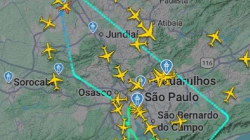 Cachorro invade pista de Congonhas e causa alteração em voo durante 27 minutos