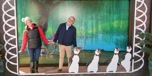 Disney World para adultos: viagem sem crianças revela novos espaços exclusivos