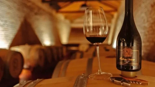 Brasil conquista 145 medalhas no Decanter World Wine Awards 2025 em Londres