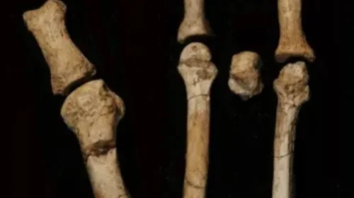 Pé fossilizado de 3,4 milhões de anos é identificado como Australopithecus deyiremeda