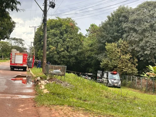 Corpo de Mulher Encontrado em Área de Mata no Park Way